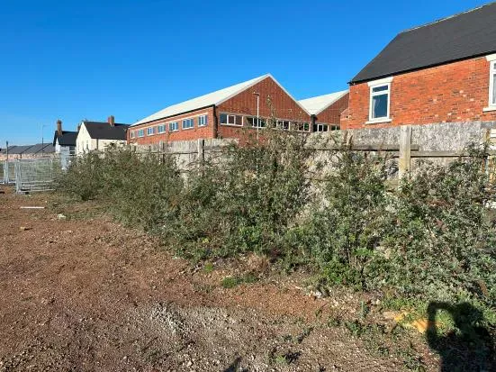 Construction Site Clearance